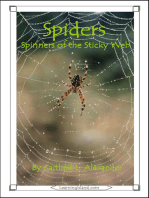 Spiders: Spinners of the Sticky Web