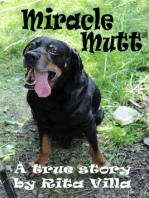 Miracle Mutt