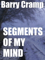Segments Of My Mind