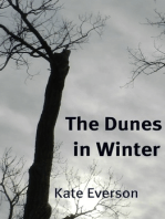 The Dunes in Winter