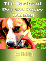 The Basics of Dog and Puppy Training