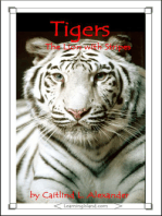 Tigers: The Lion With Stripes