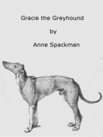 Gracie the Greyhound