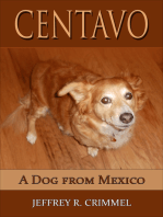 Centavo; A Dog From Mexico