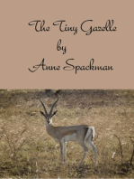 The Tiny Gazelle