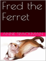 Fred the Ferret