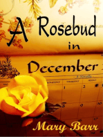 A Rosebud in December