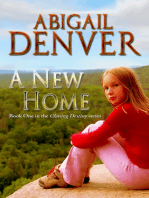A New Home: Book One in the Chasing Destiny Series