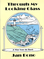 Through My Looking Glass: A View from the Beach