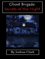 Ghost Brigade: Secrets of the Night