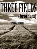 THREE FIELDS (brothers)