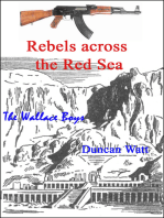 Rebels across the Red Sea