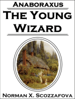 Anaboraxus: the Young Wizard