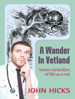 A Wander in Vetland