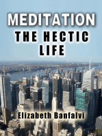 Meditation The Hectic Life