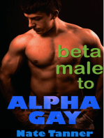 Beta Male to Alpha Gay