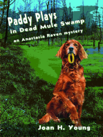 Paddy Plays in Dead Mule Swamp