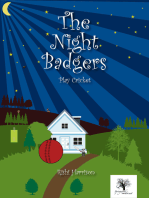 The Night Badgers - Play Cricket (2-6 Year Olds)