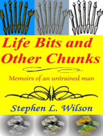 Life Bits and Other Chunks