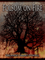 Folsom on Fire