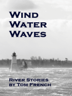 Wind Water Waves