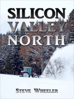 Silicon Valley North