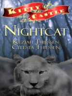 Nightcat: Kitty Castle Series