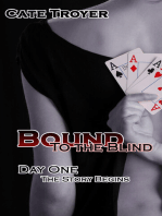 Day 1 (Bound to the Blind) (Billionaire BDSM)