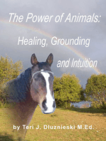 The Power of Animals: Healing, Grounding, and Intuition
