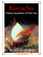 Barnacles: Hated Squatters of the Sea