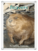 Beavers: Gnawers of the Northern Woods