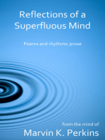Reflections of a Superfluous Mind
