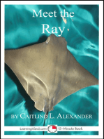 Meet the Ray