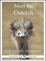 Meet the Ostrich: A 15-Minute Book for Early Readers