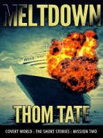 Meltdown: Covert World, #2