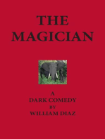 The Magician