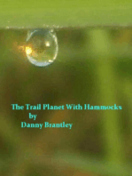The Trail Planet With Hammocks