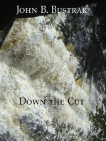 Down The Cut