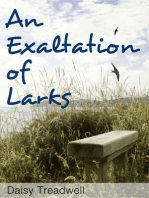 An Exaltation of Larks
