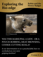 Was This Marsupial A Lion: Or A Pouch-Robbing, Meat-Browsing, Cookie-Cutting Koala?