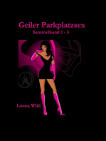 Geiler Parkplatzsex (Sammelband 1-3)