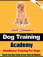 Dog Training Academy