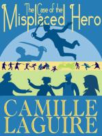 The Case of the Misplaced Hero