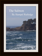 The Salmon