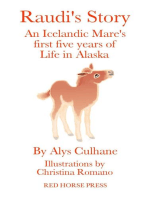 Raudi’s Story An Alaskan-Born Icelandic Mare’s First Five Years of Life