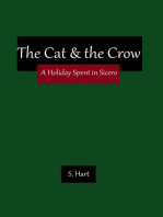 The Cat & the Crow