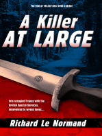 A Killer At Large