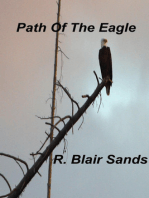 Path Of The Eagle