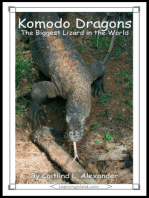 Komodo Dragons: The Biggest Lizard in the World