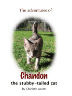 The Adventures of Chandon the Stubby-tailed Cat